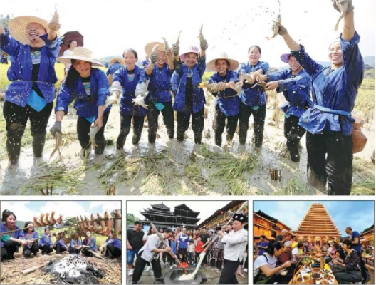 广西三江: 稻鱼种养标准化助推乡村振兴增进民族团结