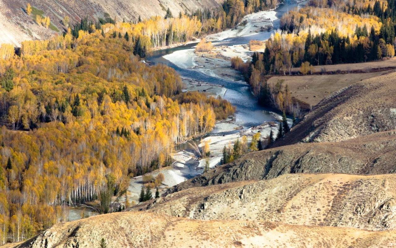 新疆智造新篇章，引领未来生活科技探秘