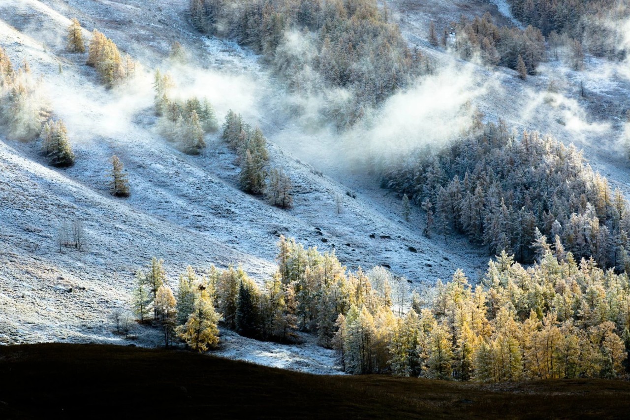 新疆智造新篇章,引领未来生活科技探秘