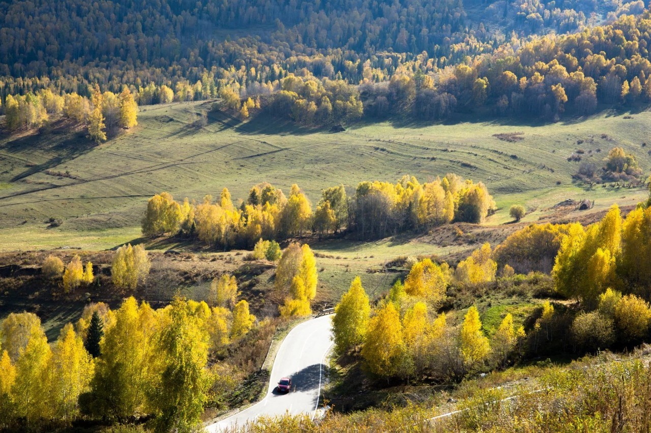 新疆智造新篇章,引领未来生活科技探秘