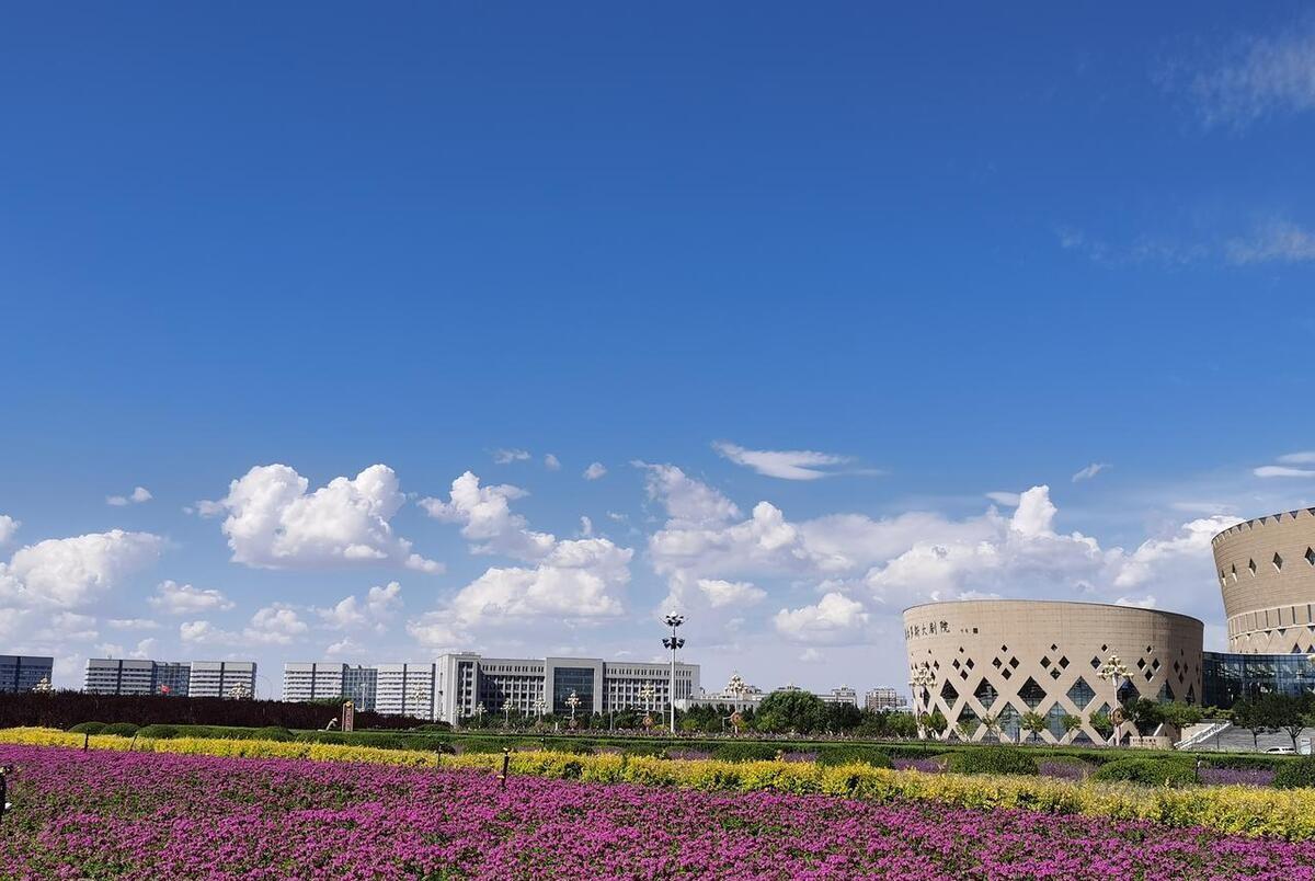鄂尔多斯巷弄深处的独特风味，隐藏在小巷中的特色小吃店
