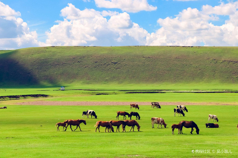 呼伦贝尔，草原之美与风情之旅